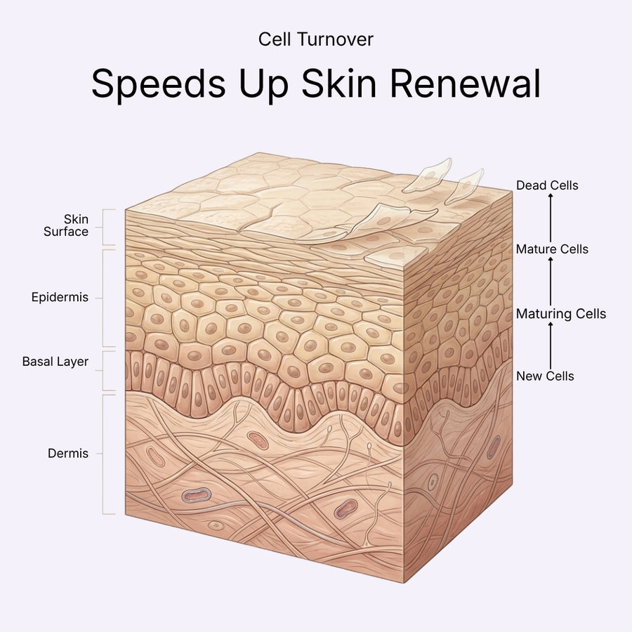 Renews Texture, The Gentle Way
